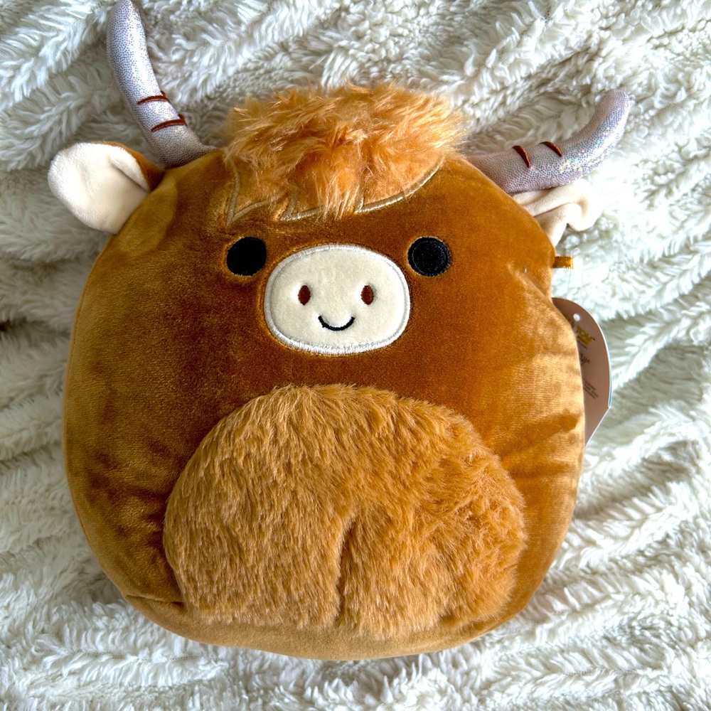 Colton the bull cow
